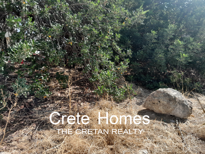 Image No.5-Land for sale