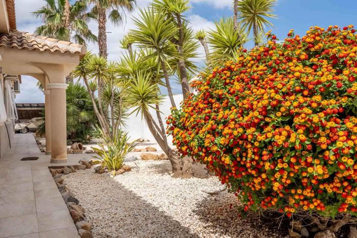 Image No.15-Villa de 6 chambres à vendre à Murcie