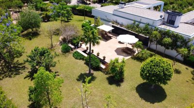 syey4obqquuipedb9uioca