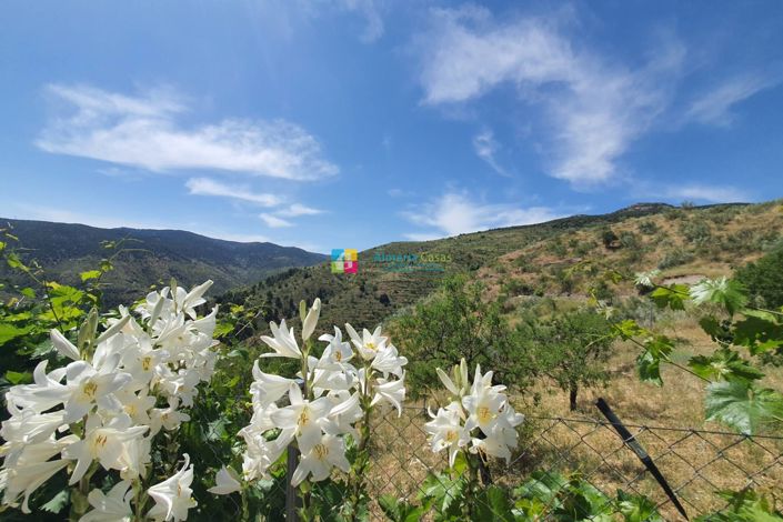 Image No.33-Maison de campagne de 5 chambres à vendre à Sierro