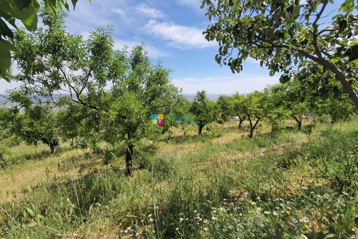 Image No.45-Maison de campagne de 5 chambres à vendre à Sierro