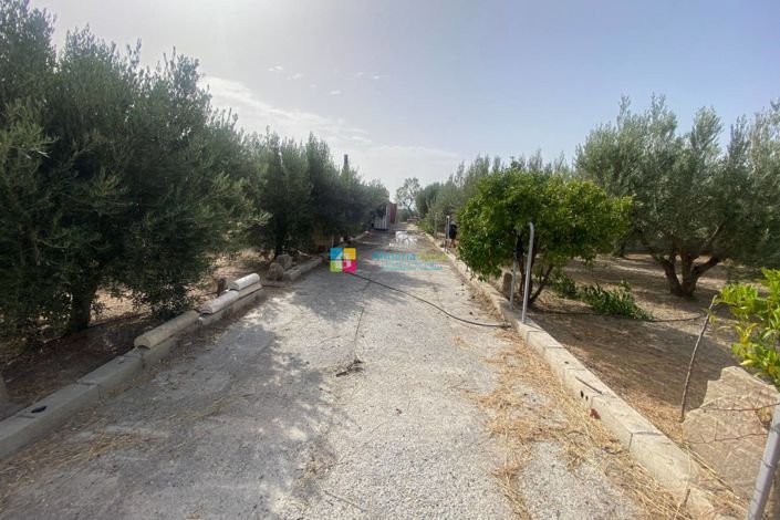 Image No.31-Maison de campagne de 4 chambres à vendre à Lúcar