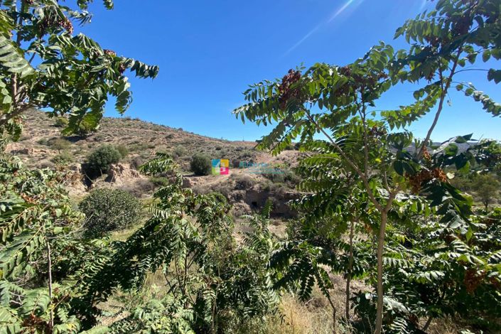 Image No.44-Maison de campagne de 3 chambres à vendre à Oria