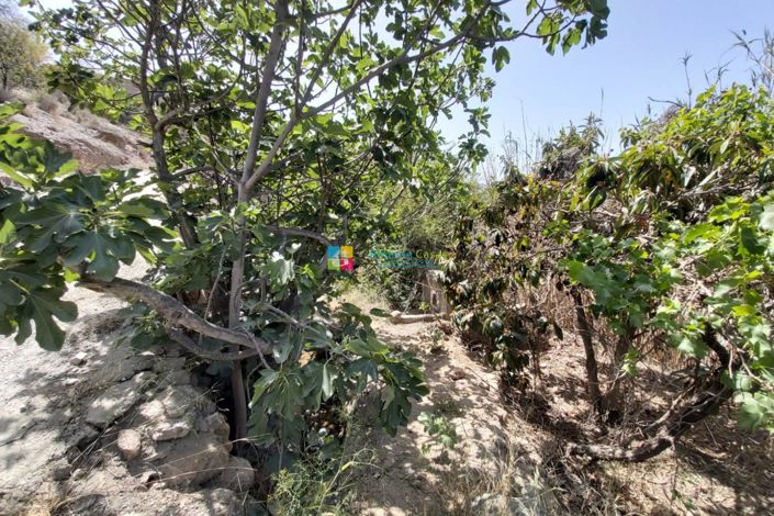 Image No.31-Maison de campagne de 3 chambres à vendre à Albox