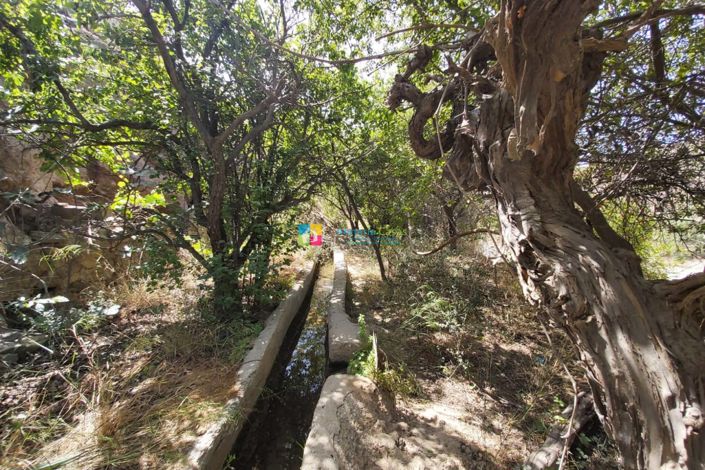 Image No.33-Maison de campagne de 3 chambres à vendre à Albox