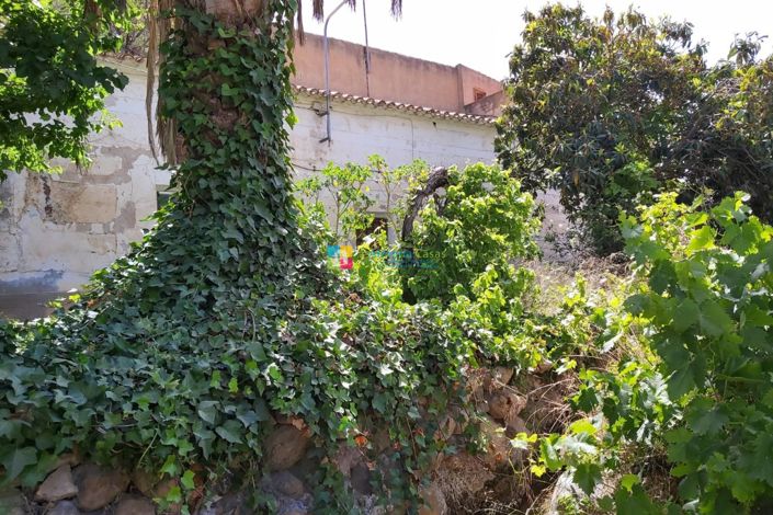 Image No.4-Maison de campagne de 3 chambres à vendre à Albox