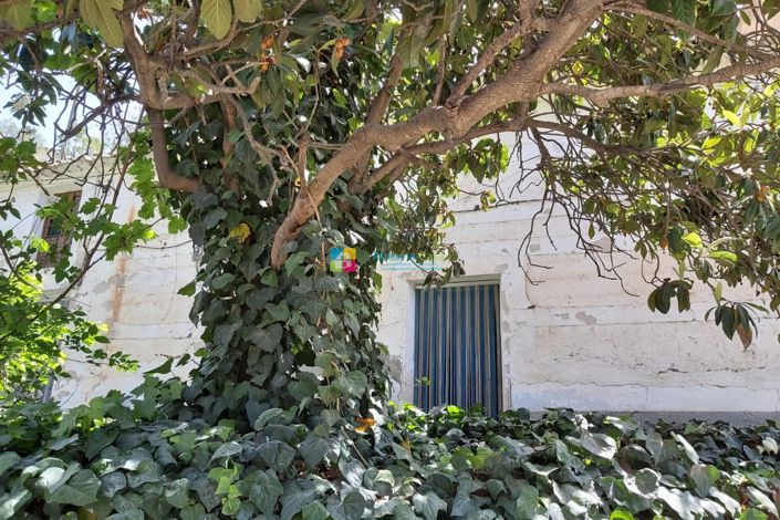 Image No.5-Maison de campagne de 3 chambres à vendre à Albox