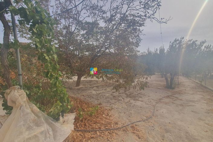 Image No.20-Maison de campagne de 2 chambres à vendre à Purchena