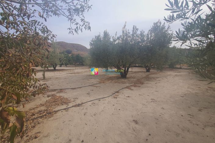 Image No.21-Maison de campagne de 2 chambres à vendre à Purchena