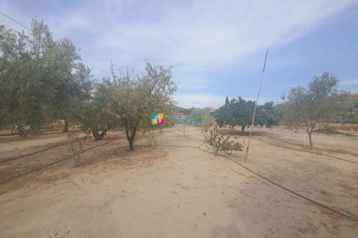 Image No.22-Maison de campagne de 2 chambres à vendre à Purchena