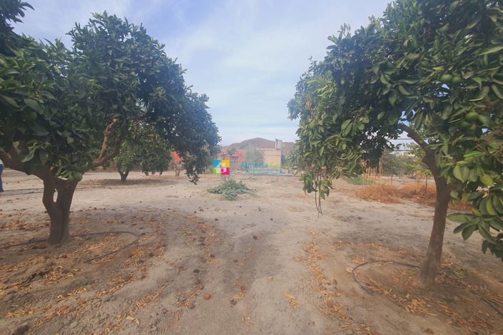 Image No.23-Maison de campagne de 2 chambres à vendre à Purchena