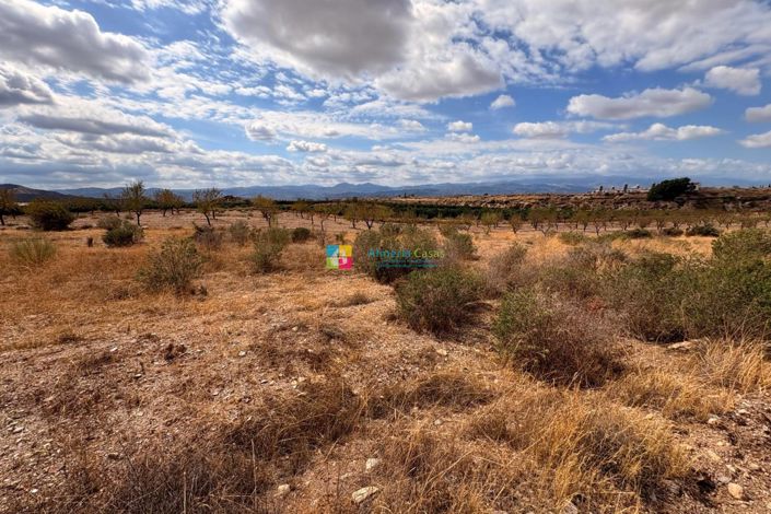 Image No.11-Maison de campagne à vendre à Taberno