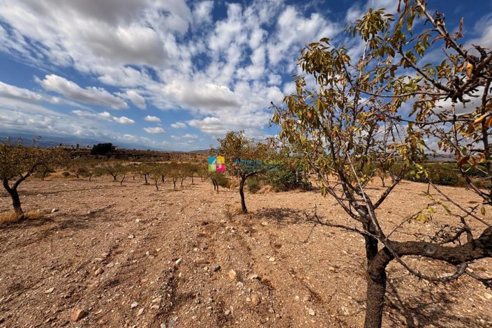 Image No.16-Maison de campagne à vendre à Taberno