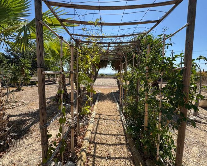 Image No.23-4 Bed Villa for sale