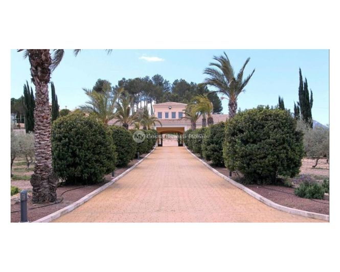 Image No.4-Villa de 6 chambres à vendre à Penáguila