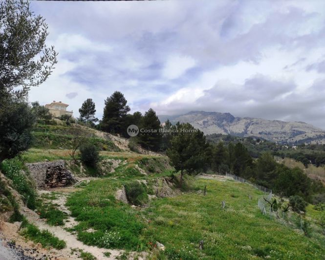 Image No.12-4 Bed Finca for sale