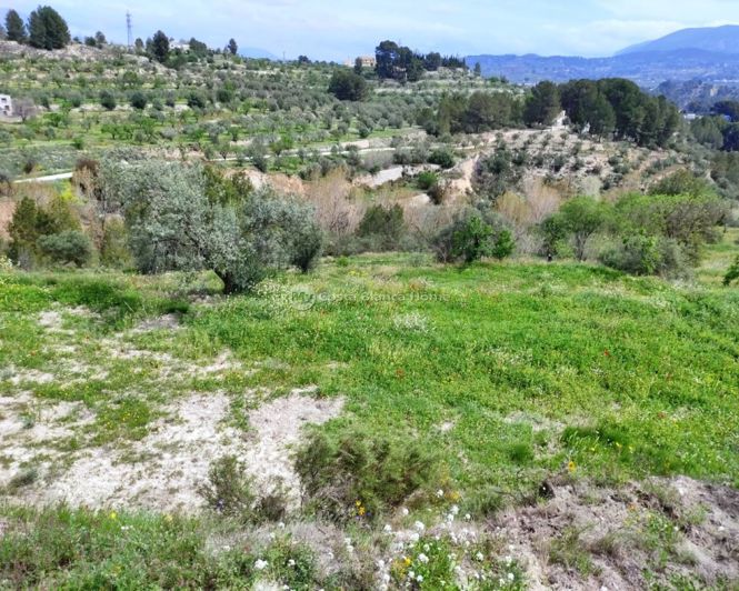 Image No.49-4 Bed Finca for sale