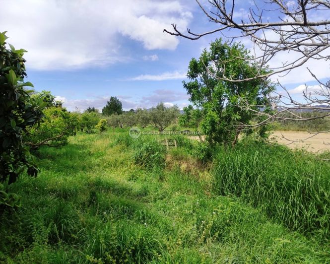 Image No.17-Maison de campagne de 3 chambres à vendre à Albaida