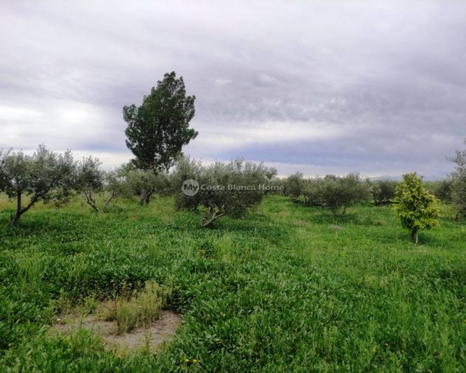 Image No.19-Maison de campagne de 3 chambres à vendre à Albaida