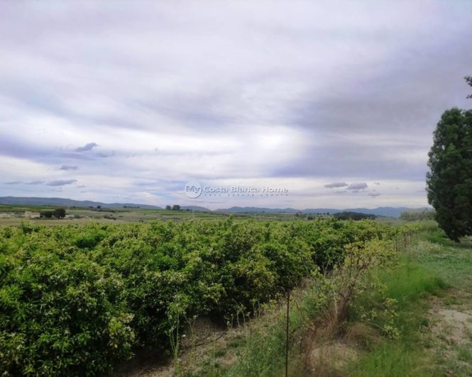 Image No.20-Maison de campagne de 3 chambres à vendre à Albaida