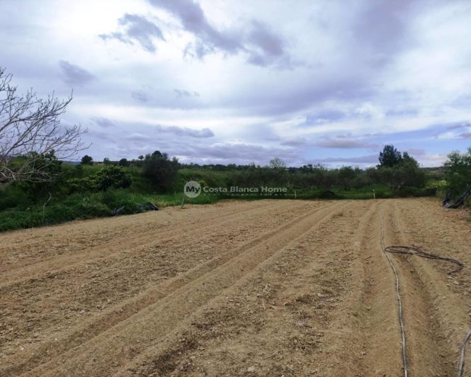 Image No.22-Maison de campagne de 3 chambres à vendre à Albaida