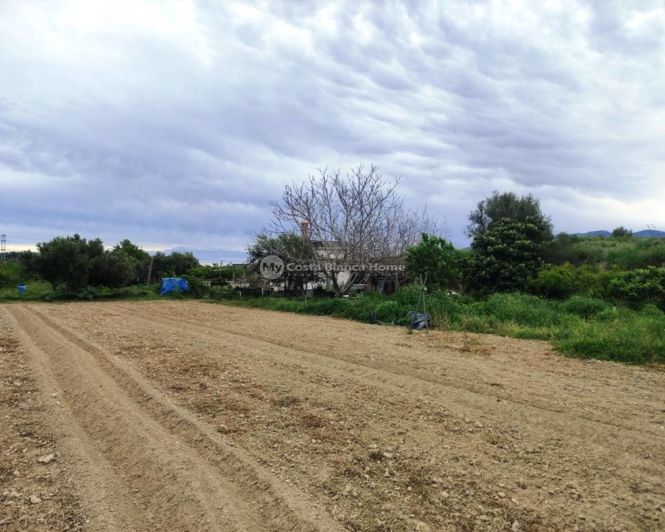 Image No.23-Maison de campagne de 3 chambres à vendre à Albaida