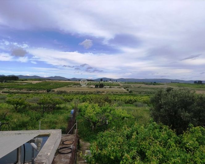 Image No.33-Maison de campagne de 3 chambres à vendre à Albaida