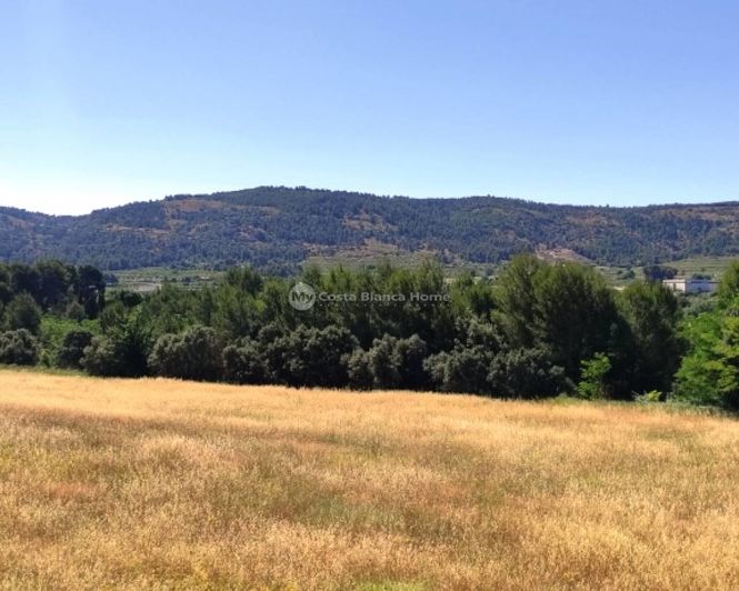 Image No.39-Finca de 11 chambres à vendre à Bocairent