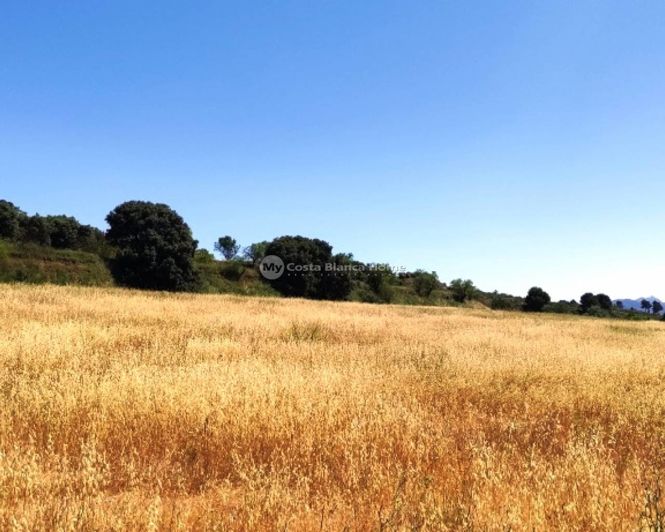 Image No.40-Finca de 11 chambres à vendre à Bocairent