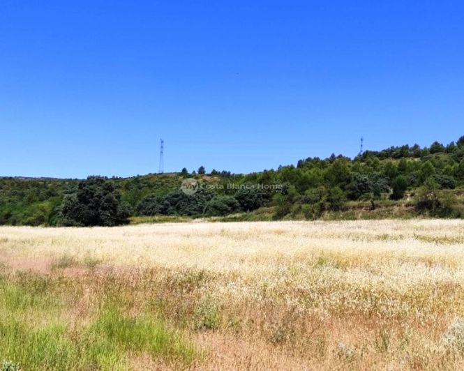 Image No.41-Finca de 11 chambres à vendre à Bocairent
