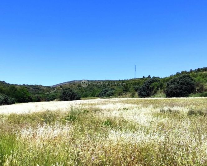 Image No.42-Finca de 11 chambres à vendre à Bocairent
