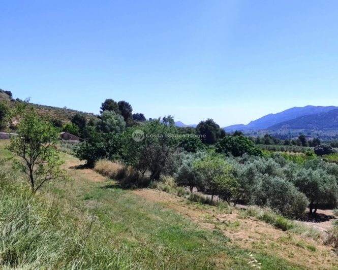 Image No.43-Finca de 11 chambres à vendre à Bocairent