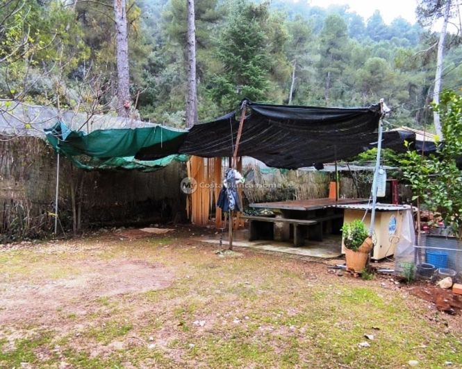 Image No.18-Maison de campagne de 5 chambres à vendre à Bocairent