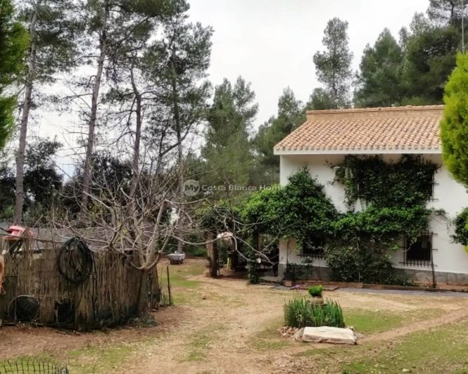 Image No.20-Maison de campagne de 5 chambres à vendre à Bocairent