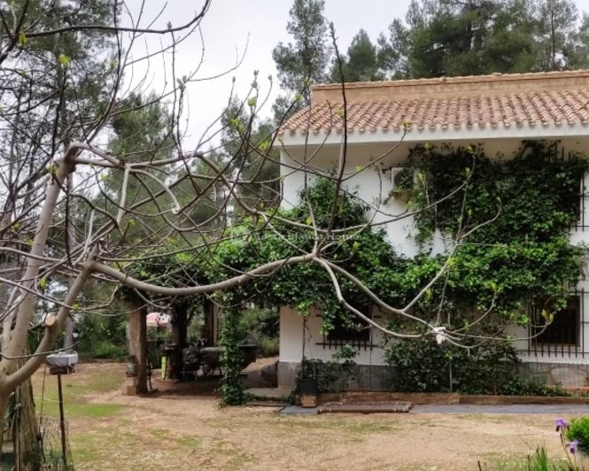 Image No.27-Maison de campagne de 5 chambres à vendre à Bocairent