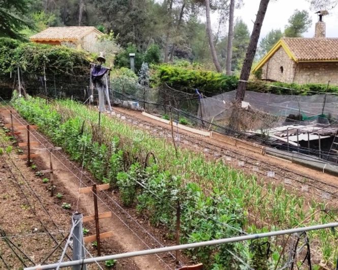 Image No.29-Maison de campagne de 5 chambres à vendre à Bocairent