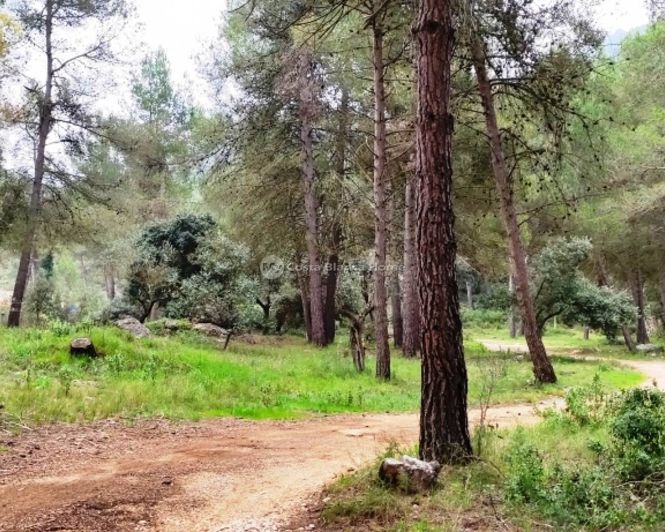 Image No.31-Maison de campagne de 5 chambres à vendre à Bocairent