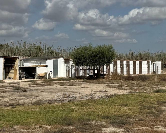 Image No.36-5 Bed Villa for sale