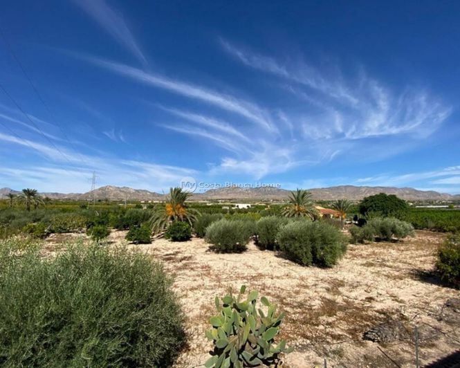 Image No.33-Maison de campagne de 5 chambres à vendre à Albatera
