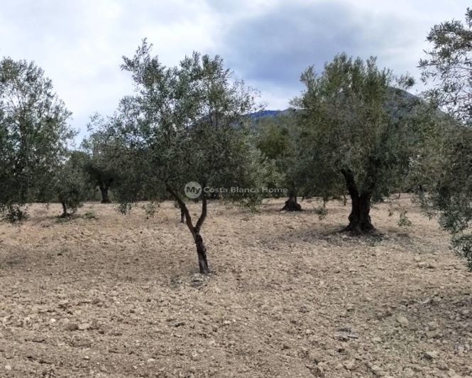 Image No.10-Propriété à vendre à Penáguila