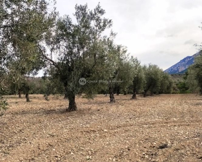 Image No.11-Propriété à vendre à Penáguila