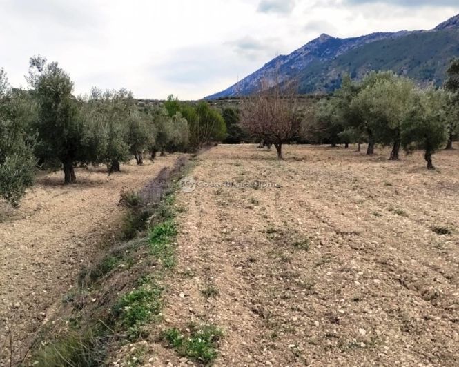 Image No.13-Propriété à vendre à Penáguila