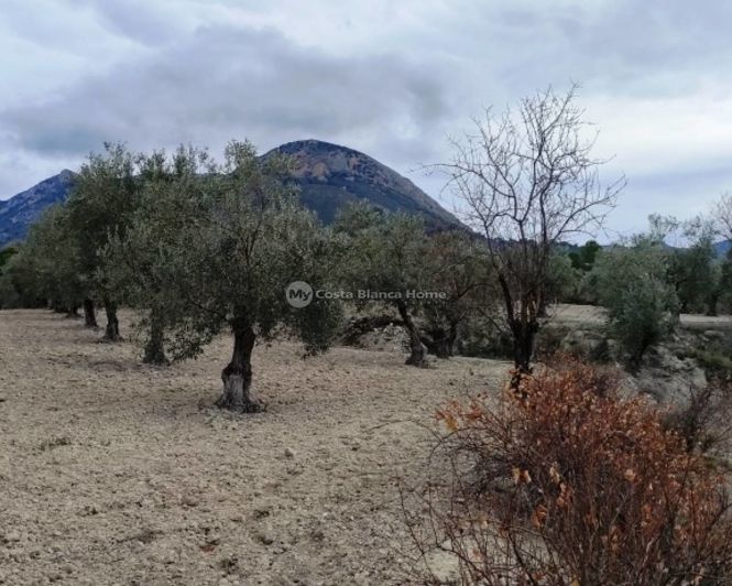 Image No.15-Propriété à vendre à Penáguila