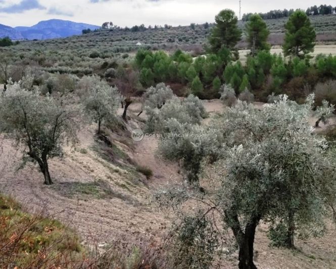 Image No.16-Propriété à vendre à Penáguila