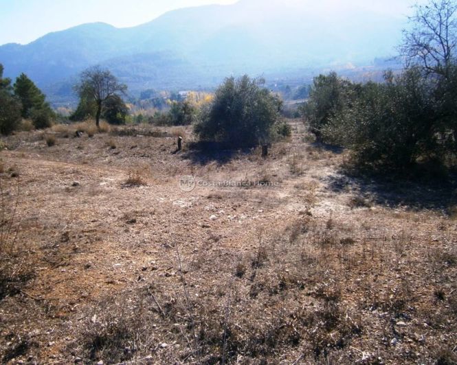 Image No.9-Finca à vendre à Agrés