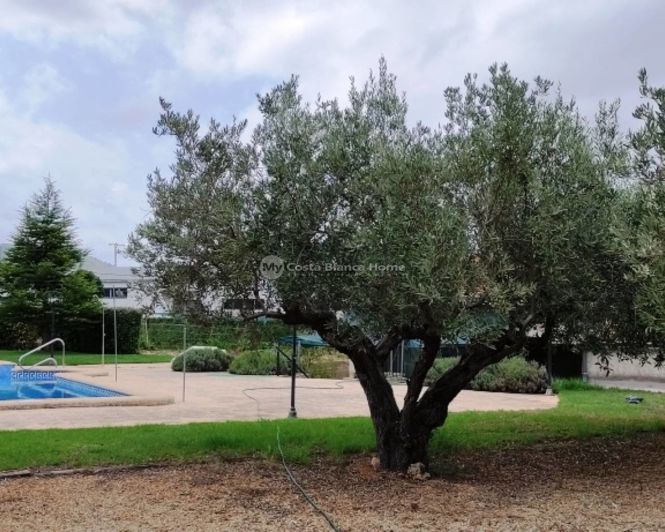 Image No.24-Propriété de 2 chambres à vendre à Lorcha