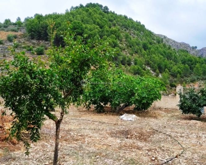 Image No.25-Propriété de 2 chambres à vendre à Lorcha