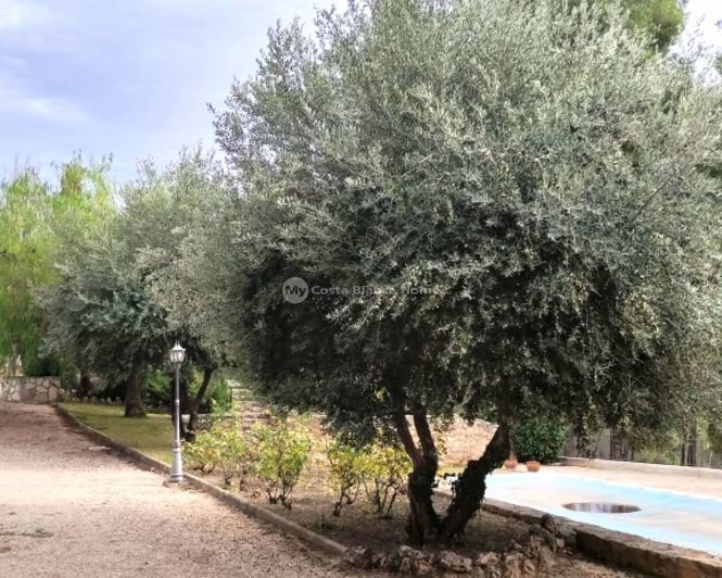 Image No.41-Villa de 3 chambres à vendre à Cocentaina