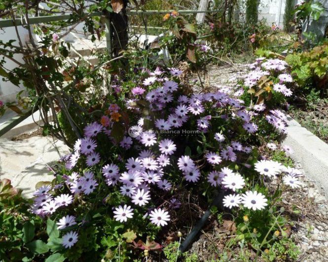 Image No.27-4 Bed Semi-Detached for sale