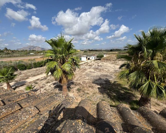 Image No.31-Maison de campagne de 5 chambres à vendre à Catral